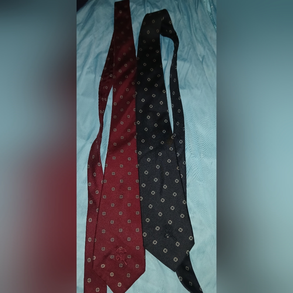 2 Vintage Ties - image 1